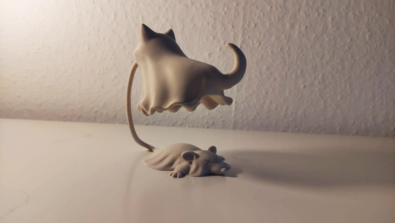 Floating Ghost Cat Illusion