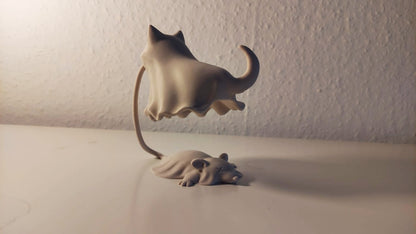 Floating Ghost Cat Illusion