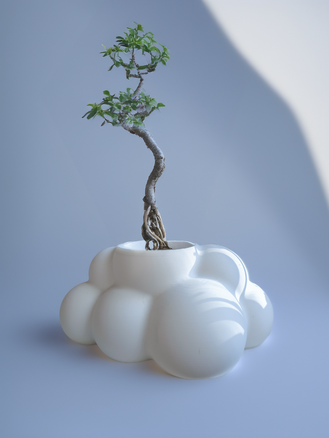 Cloud Planter
