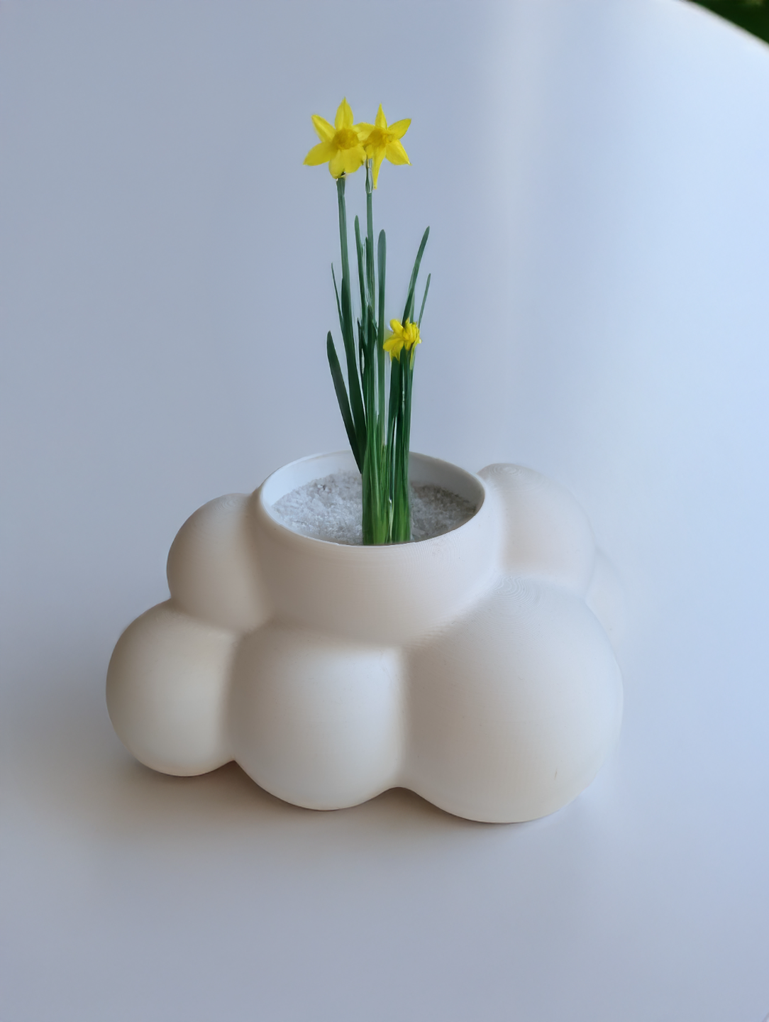 Cloud Planter