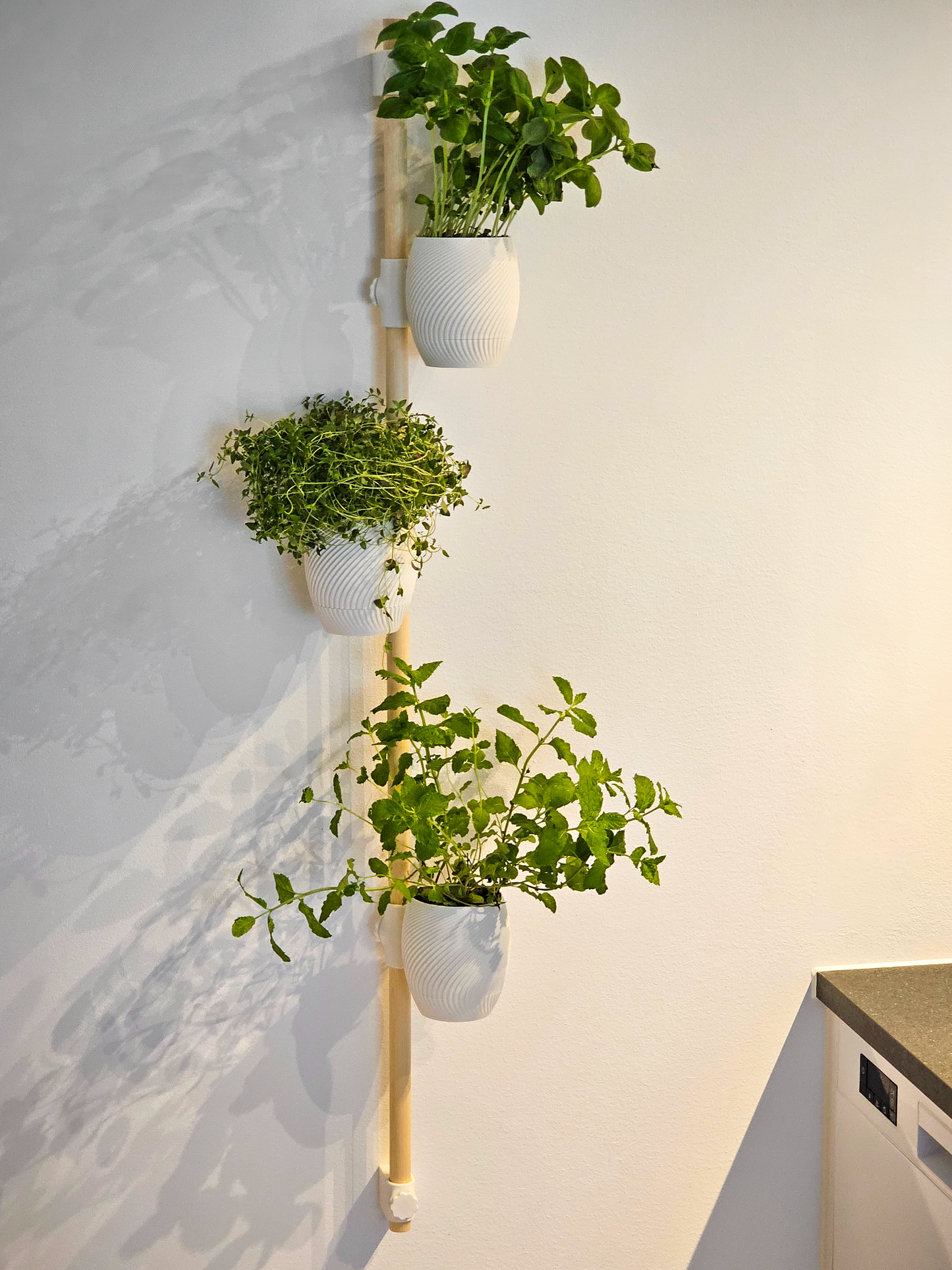 3D Printed Hanging Planter Organizer