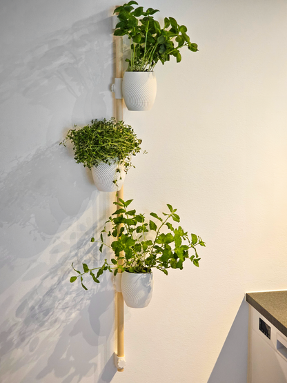 3D Printed Hanging Planter Organizer
