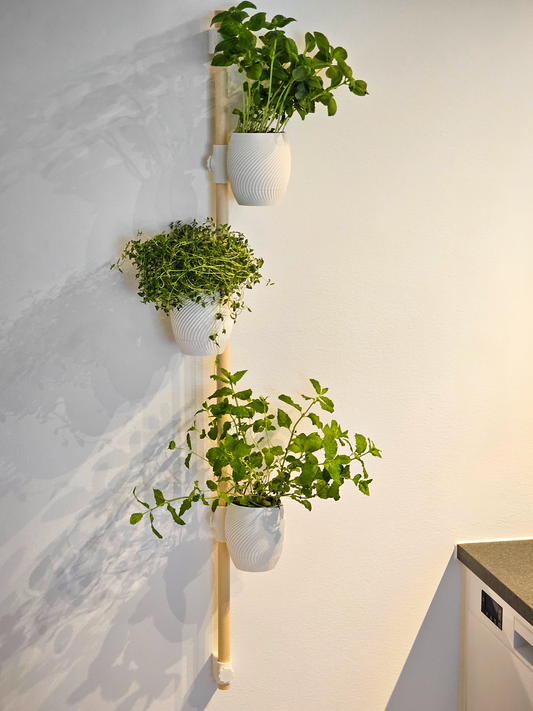 3D Printed Hanging Planter Organizer