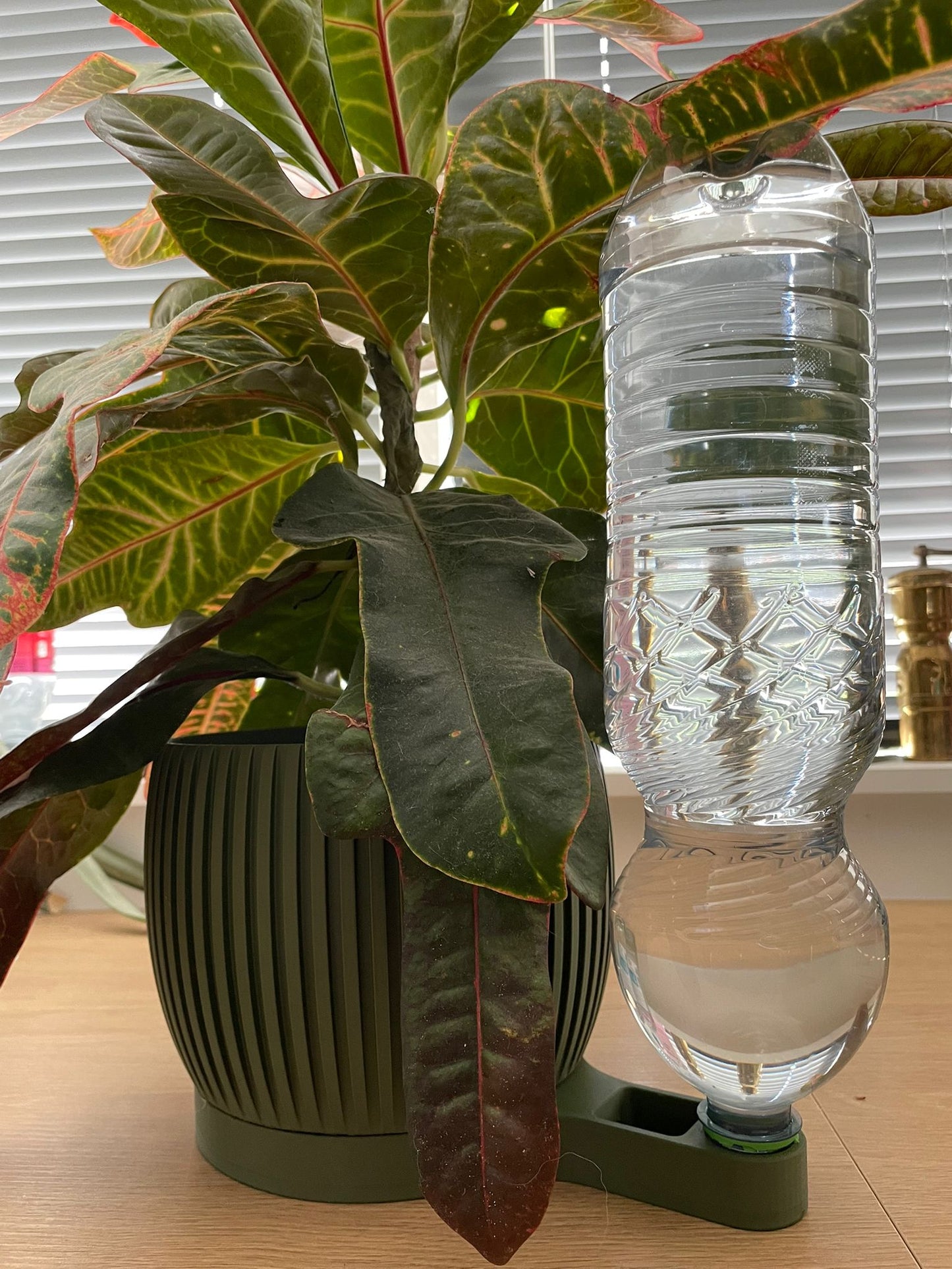 AquaBloom – Extended Self-Watering Planter