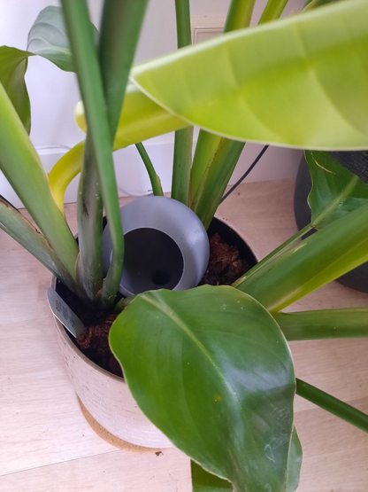 Self-Watering Planter - 3D Printed