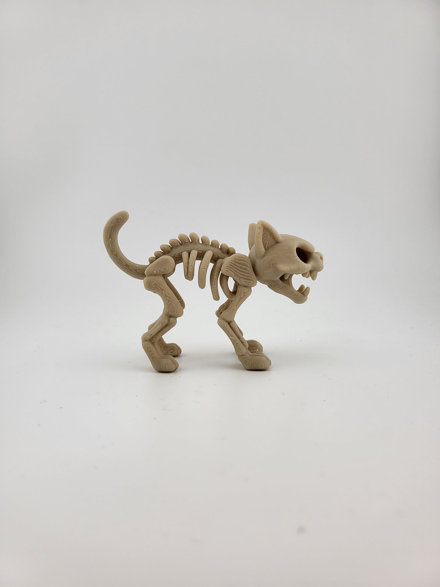 Skeleton Cat Figurine – Cute Halloween Skull Style