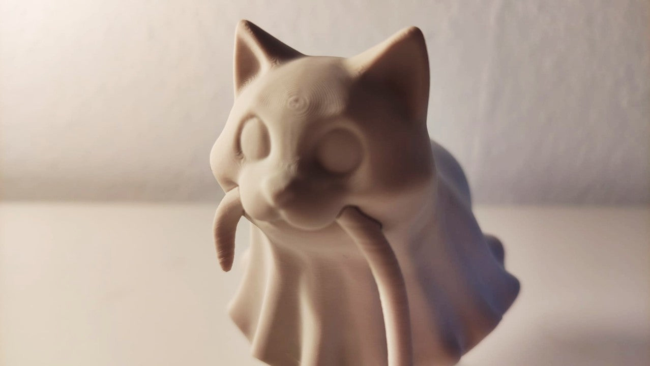 Floating Ghost Cat Illusion