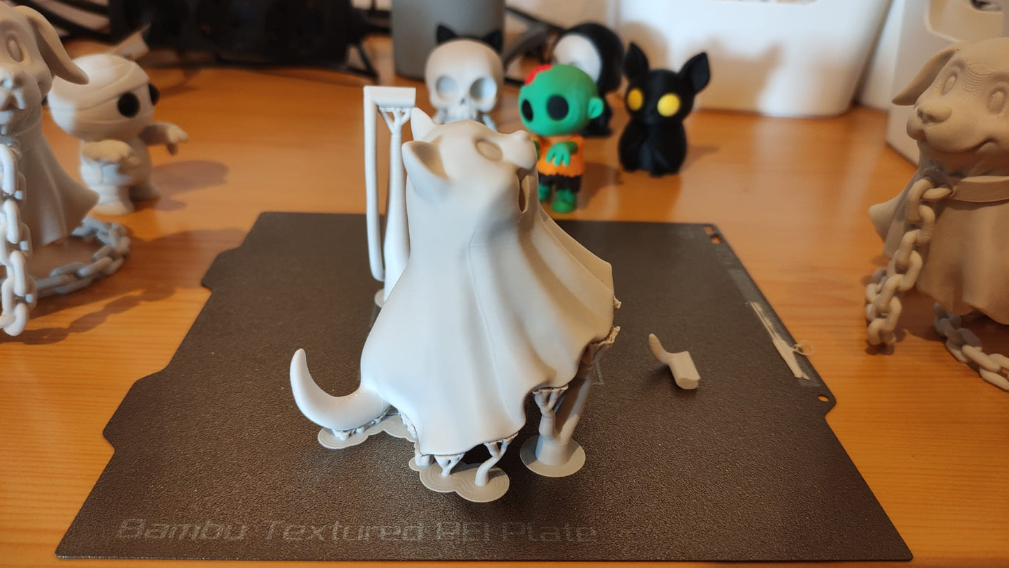 Floating Ghost Cat Illusion