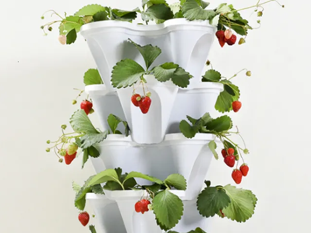 Strawberry Planter Pot – 3D Printed Vertical Flower Planter