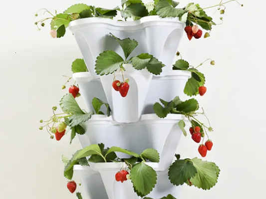Strawberry Planter Pot – 3D Printed Vertical Flower Planter