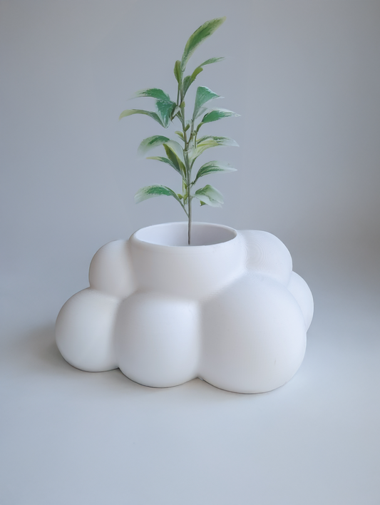 Cloud Planter