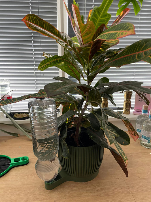 AquaBloom – Extended Self-Watering Planter