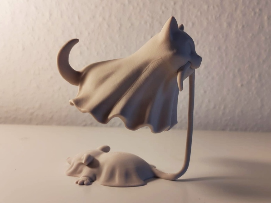 Floating Ghost Cat Illusion